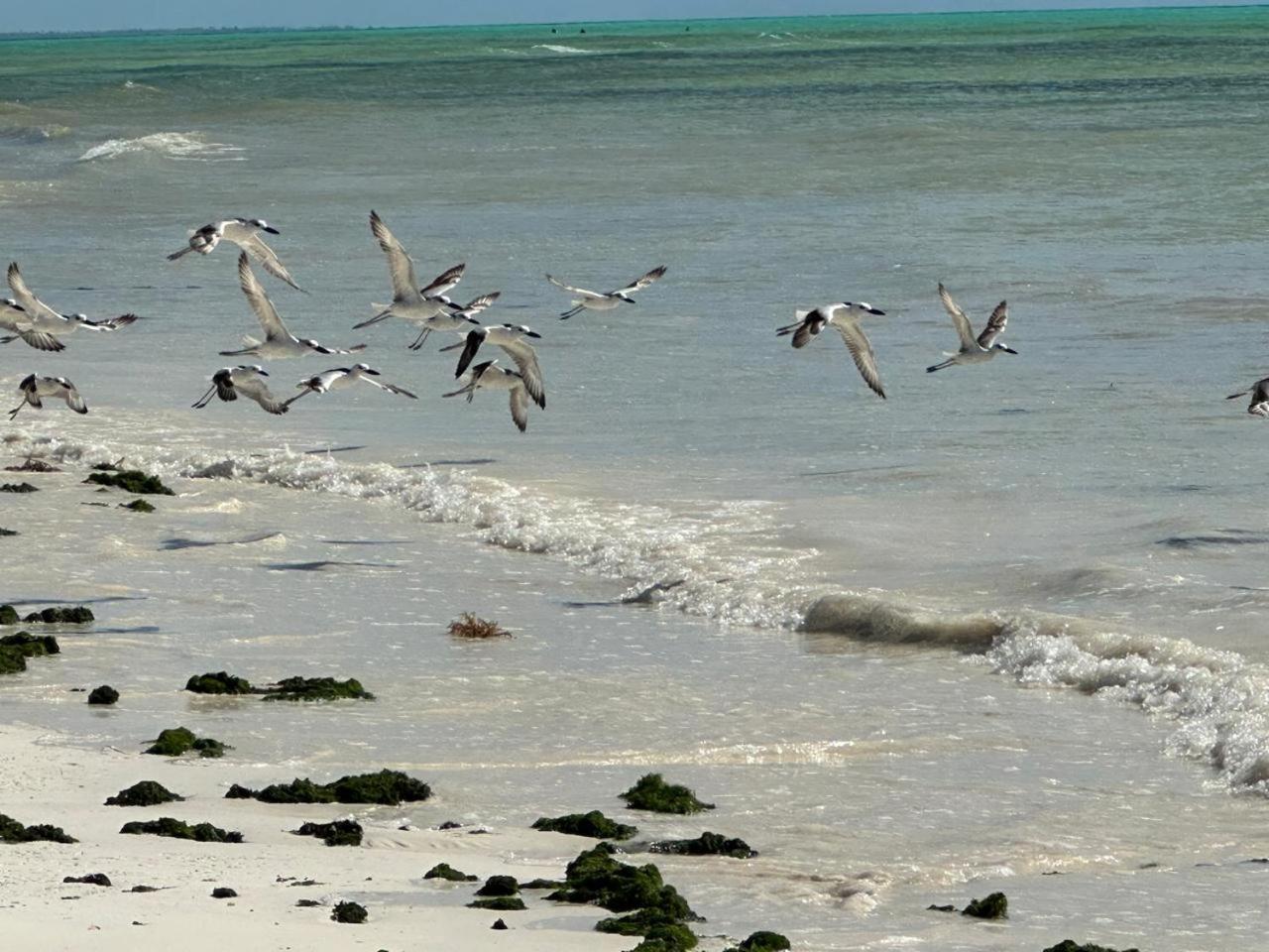 Villa Serenity, Tanzania Unforgettable パジェ エクステリア 写真
