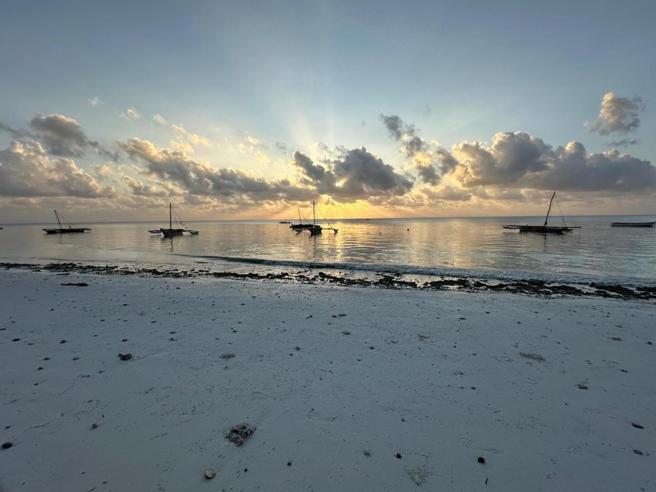 Villa Serenity, Tanzania Unforgettable パジェ エクステリア 写真