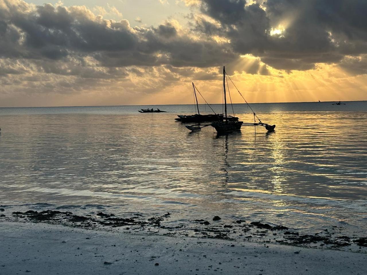 Villa Serenity, Tanzania Unforgettable パジェ エクステリア 写真